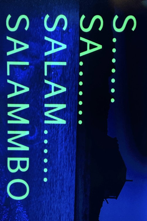 S… Sa… Salam… Salammbô… poster