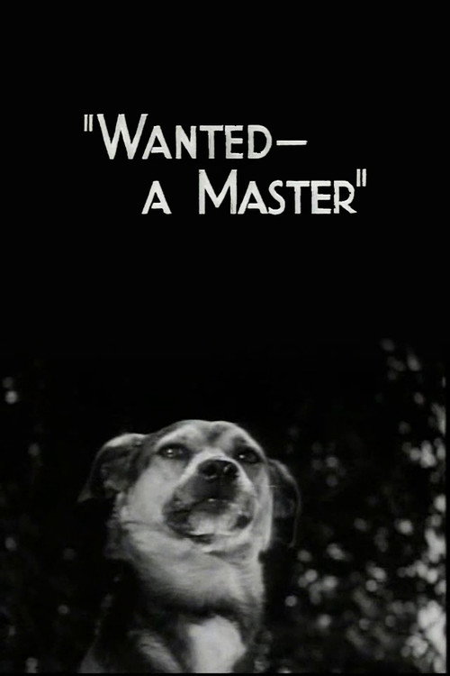 Wanted – A Master poster