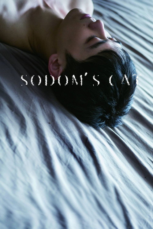 Sodom’s Cat poster