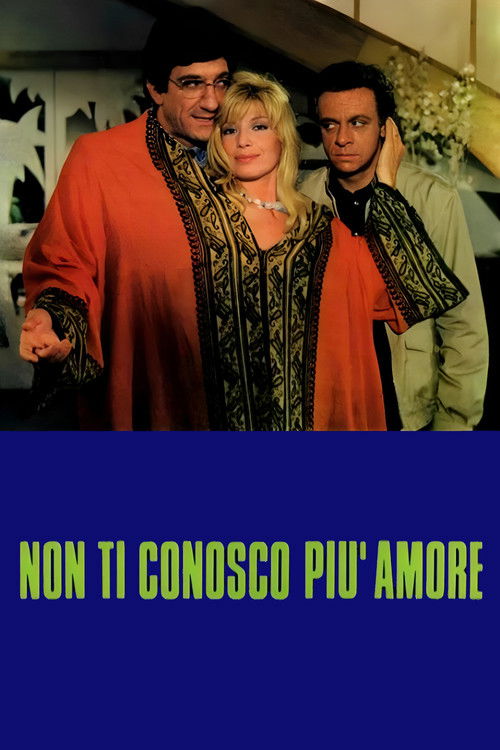 I Don’t Understand You Anymore poster