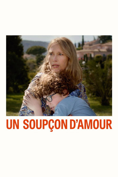 Un soupçon d’amour poster