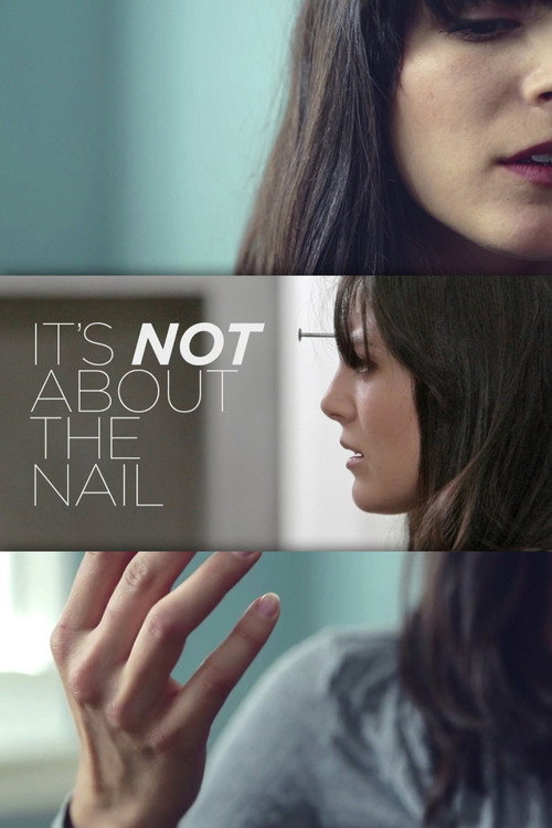 It’s Not About the Nail poster