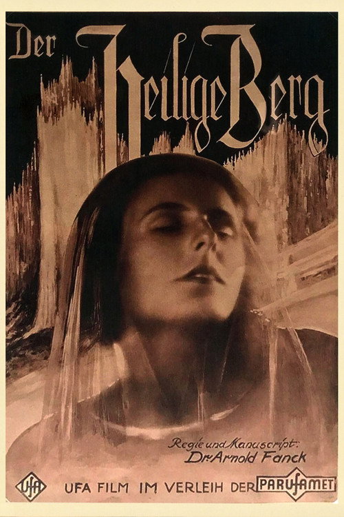 The Holy Mountain poster