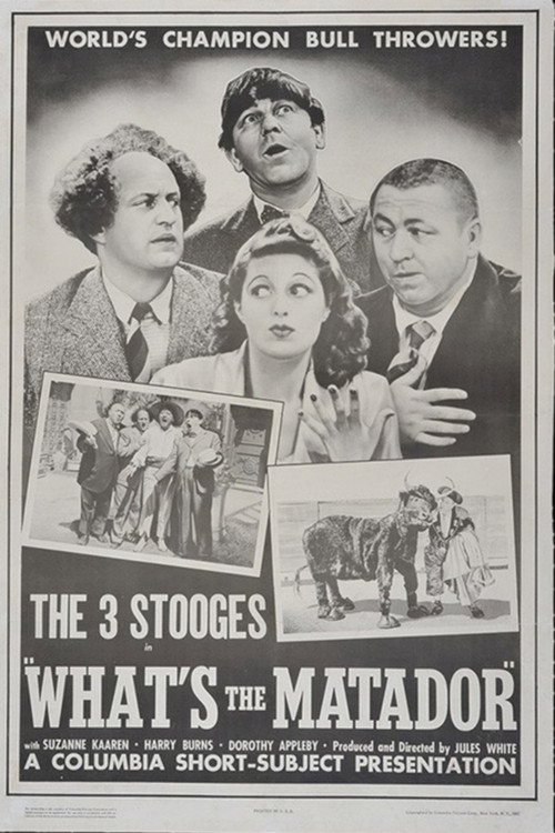 What’s the Matador? poster
