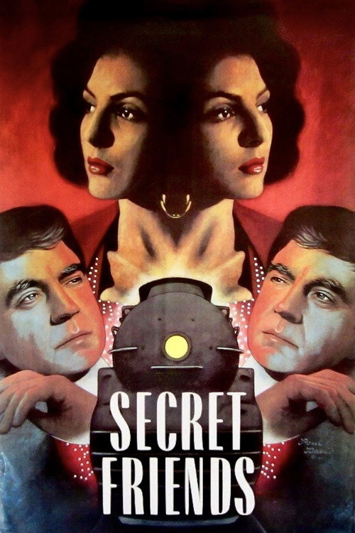 Secret Friends poster