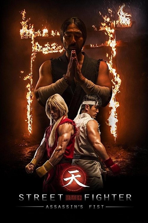 Street Fighter: Assassin’s Fist poster