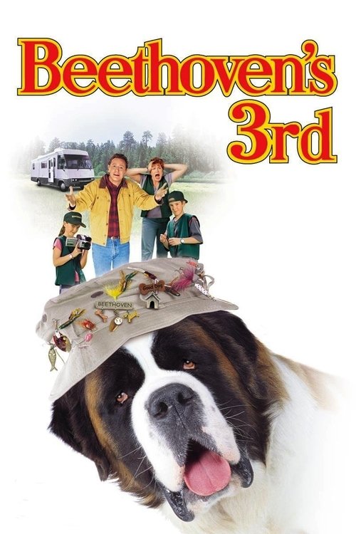 Beethoven’s 3rd poster