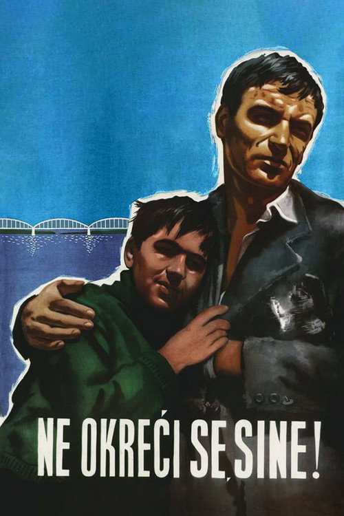 Don’t Look Back, My Son poster