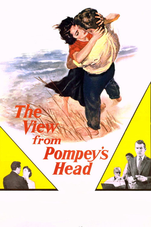 The View from Pompey’s Head poster