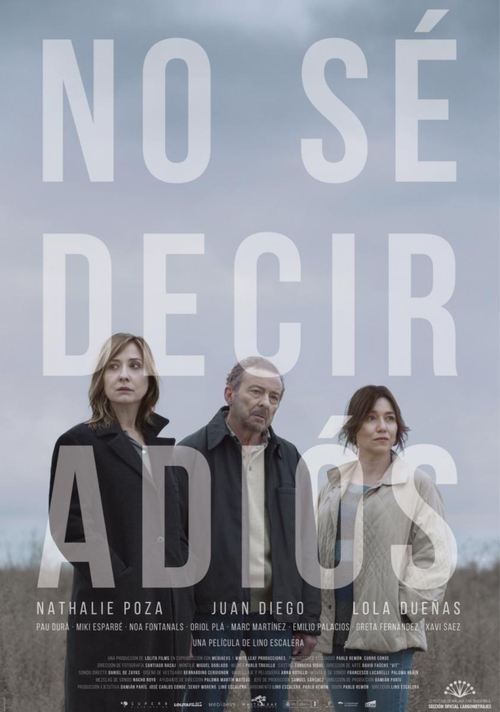 Can’t Say Goodbye poster