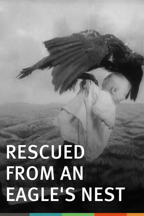 Rescued from an Eagle’s Nest poster