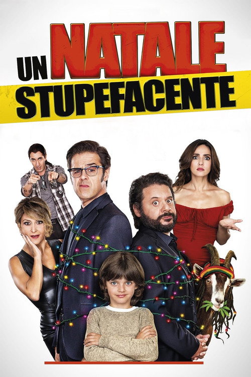 Un Natale stupefacente poster