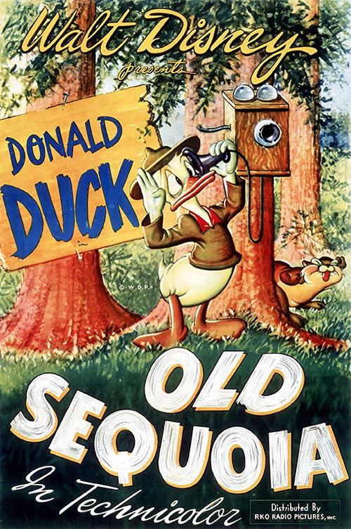 Old Sequoia poster