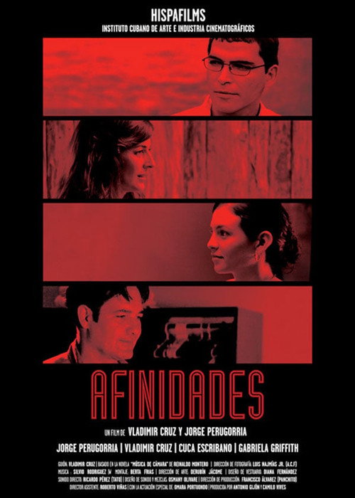 Afinidades poster
