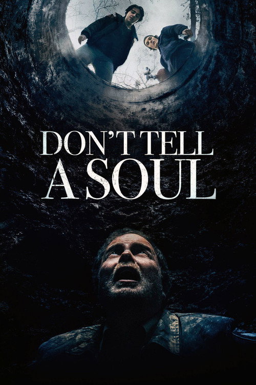 Don’t Tell a Soul poster