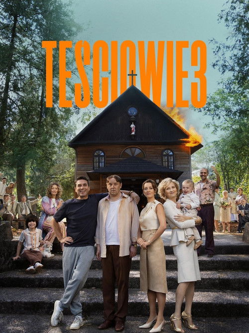 The In-Laws 3 poster