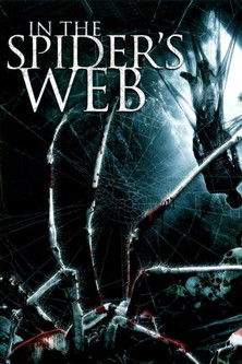In the Spider’s Web poster