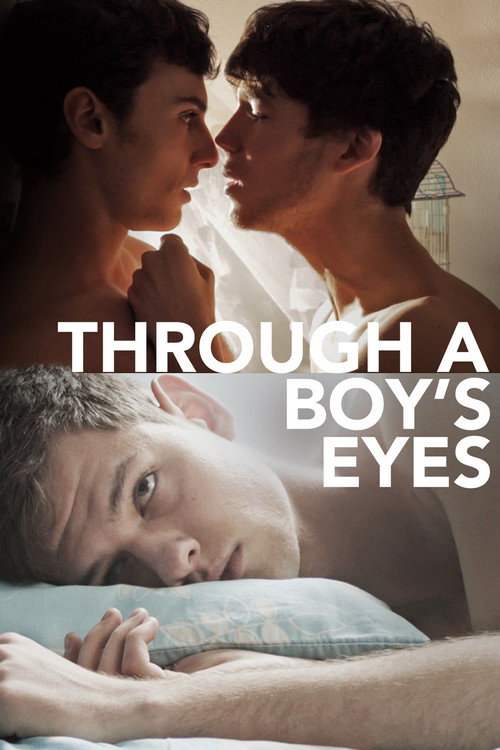 Through a Boy’s Eyes poster