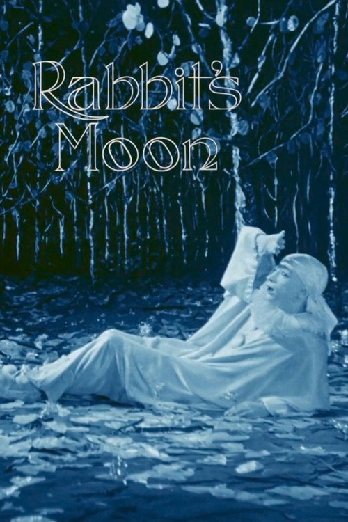 Rabbit’s Moon poster