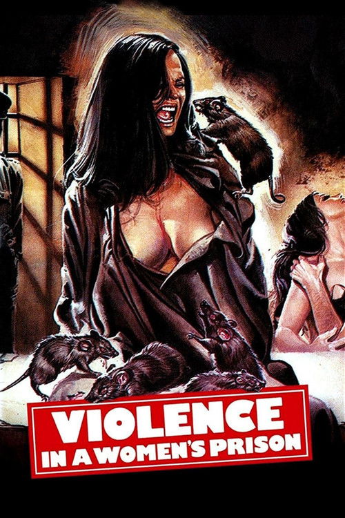Violence in a Women’s Prison poster