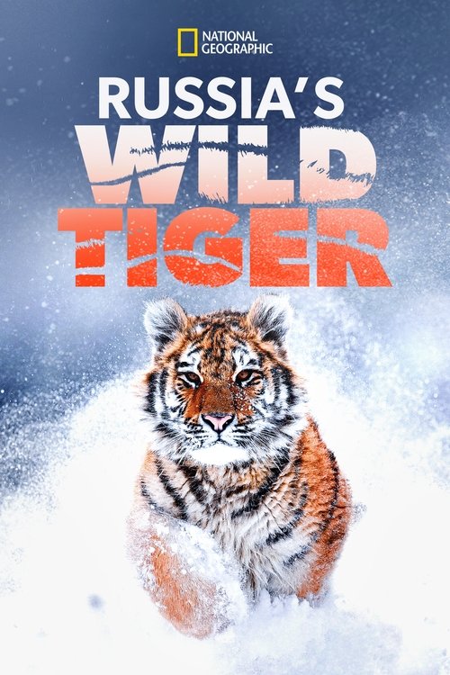 Russia’s Wild Tiger poster