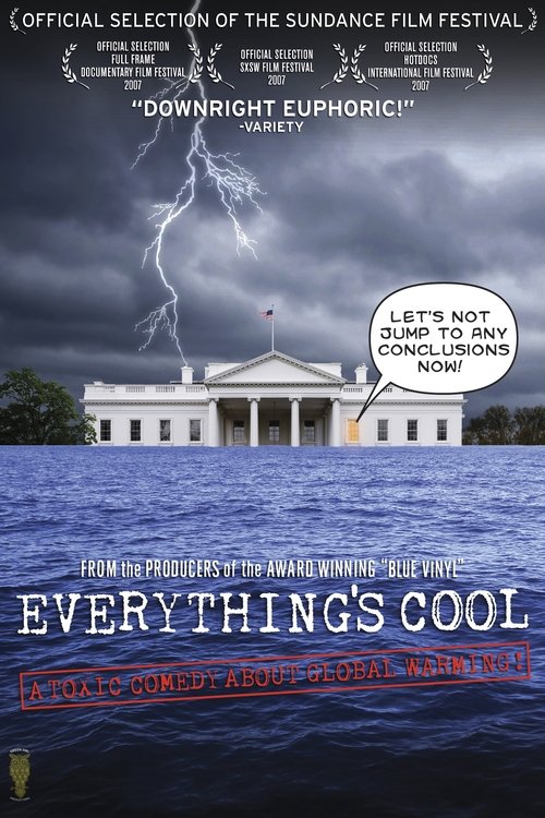 Everything’s Cool poster