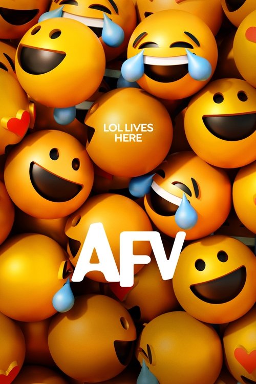 America’s Funniest Home Videos poster