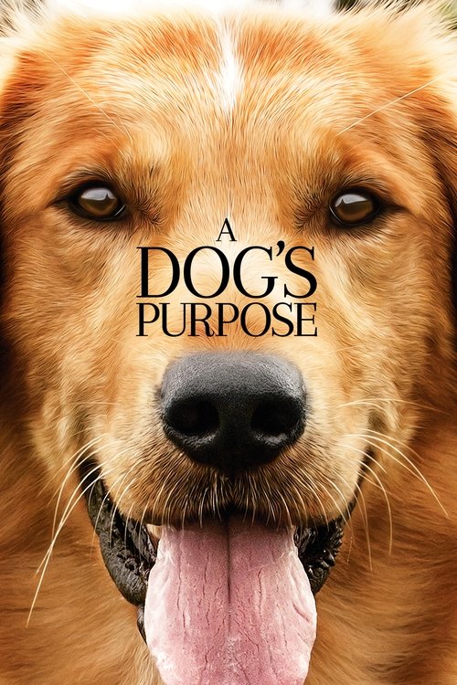 A Dog’s Purpose poster