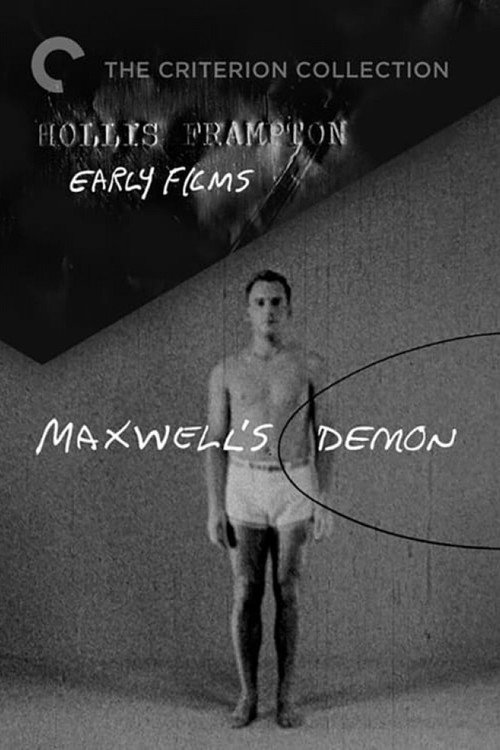 Maxwell’s Demon poster