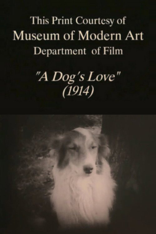 A Dog’s Love poster