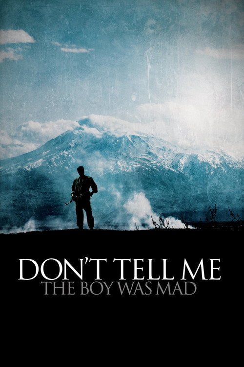 Don’t Tell Me the Boy Was Mad poster