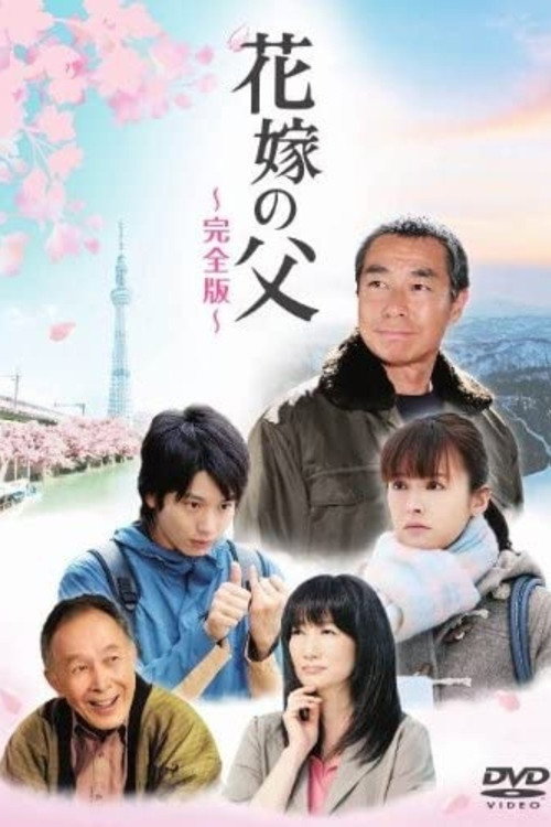 Father of the Bride poster