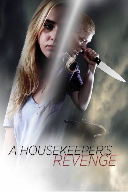 A Housekeeper’s Revenge poster
