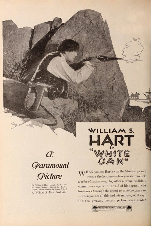 White Oak poster
