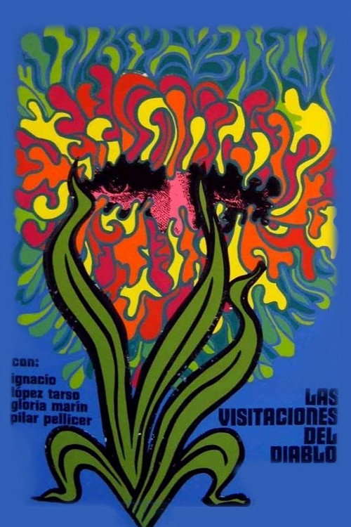 The Devil’s Visitations poster
