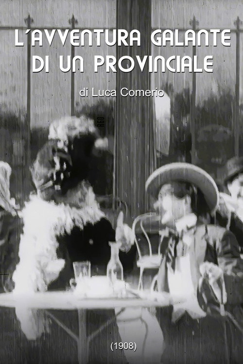 The Gallant Adventure of a Provincial poster
