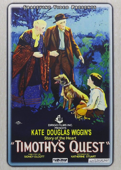 Timothy’s Quest poster