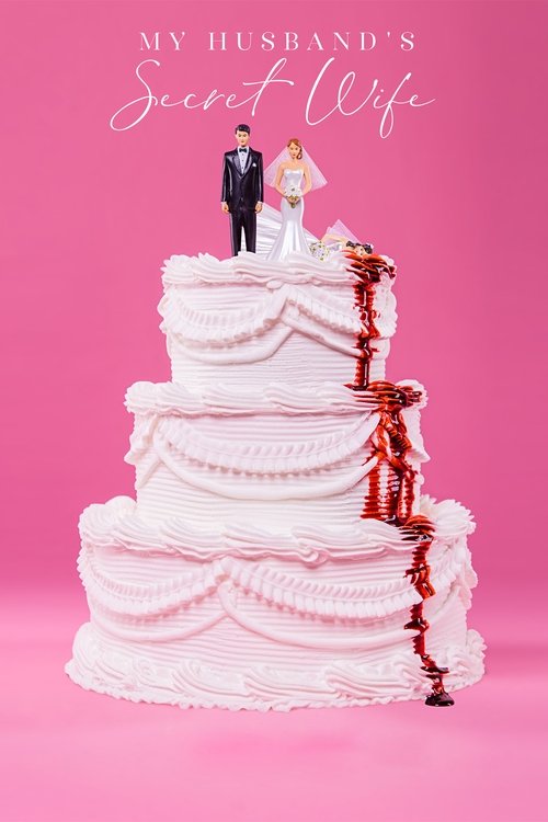 My Husband’s Secret Wife poster