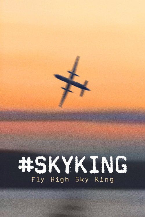 #SKYKING poster