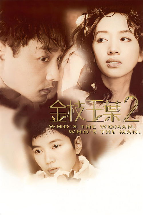 Who’s the Woman, Who’s the Man? poster