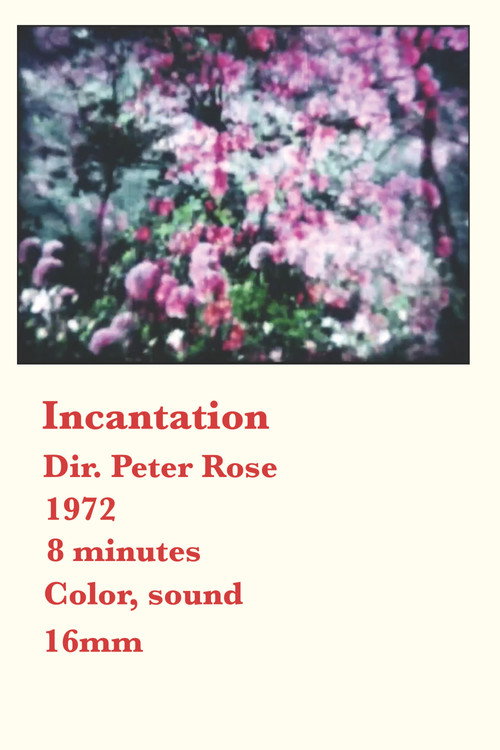 Incantation poster