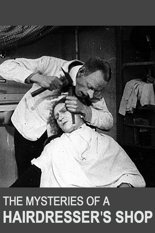 The Mysteries of a Hairdresser’s Shop poster