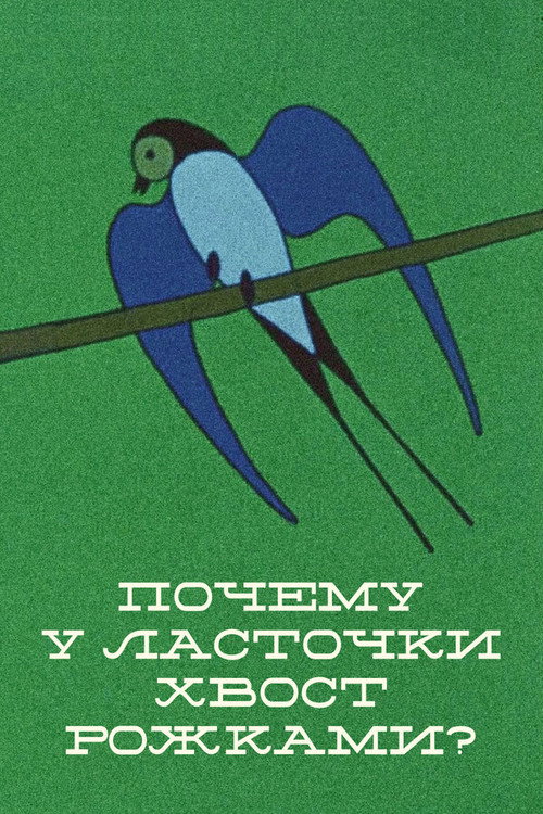 Why the Swallow’s Tail Is Double? poster