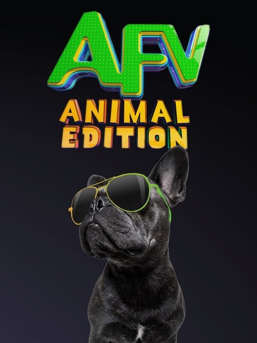 America’s Funniest Home Videos: Animal Edition poster