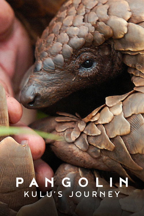 Pangolin: Kulu’s Journey poster