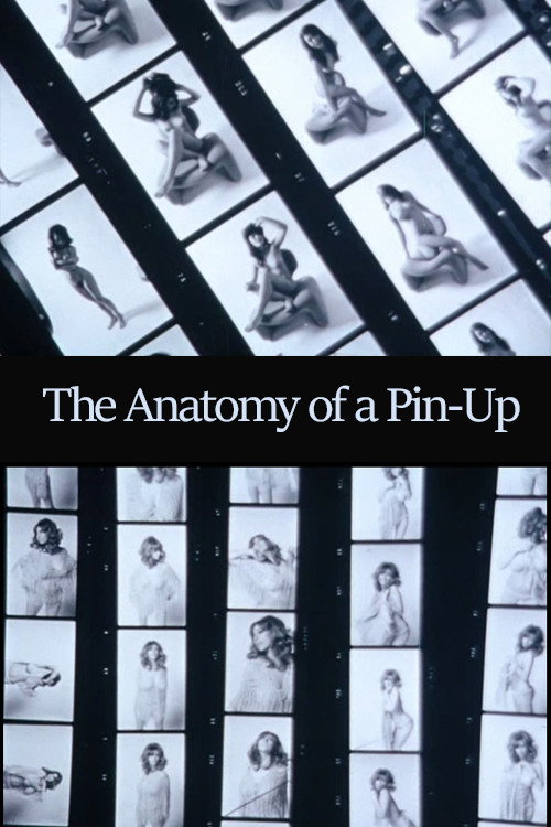 The Anatomy of a Pin-Up poster