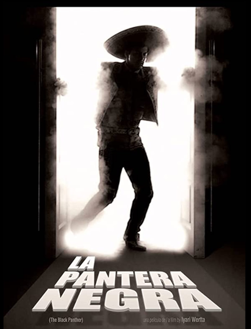 The Black Panter poster