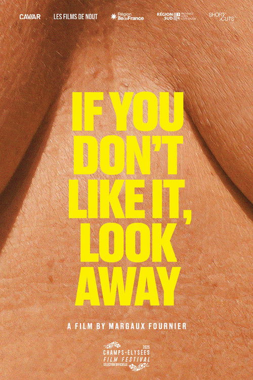 If You Don’t Like It, Look Away poster