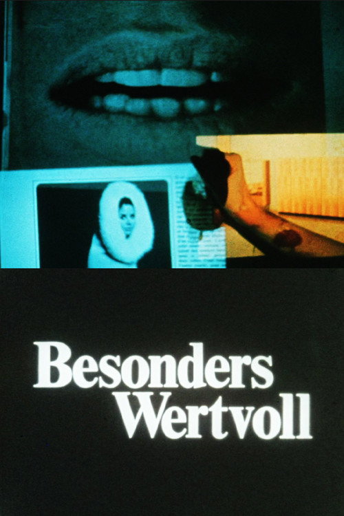 Of Special Merit poster