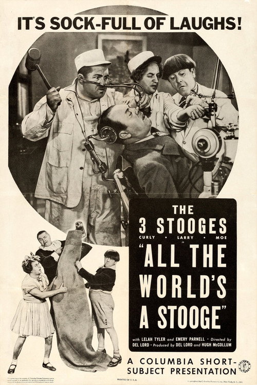 All the World’s a Stooge poster
